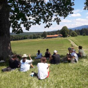 Naturcoaching Ausbildung: Inhalte