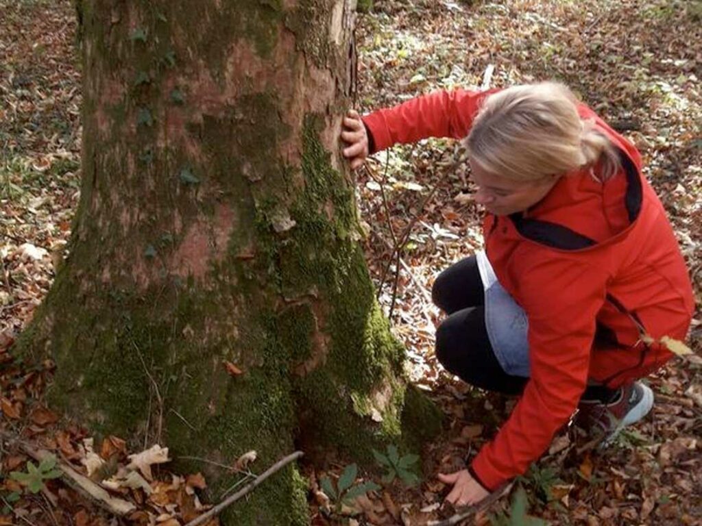 NaturCoach Ausbildung: Baum-Meditation: NaturCoach-Beispiel-Übung