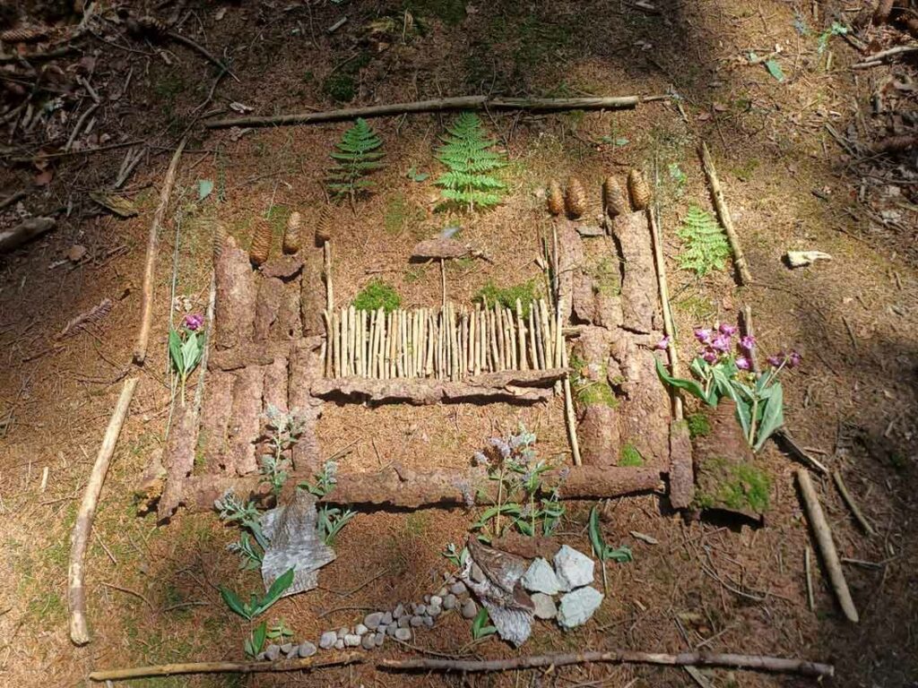 NaturCoach Ausbildung: Ordnen: NaturCoach-Beispiel-Übung