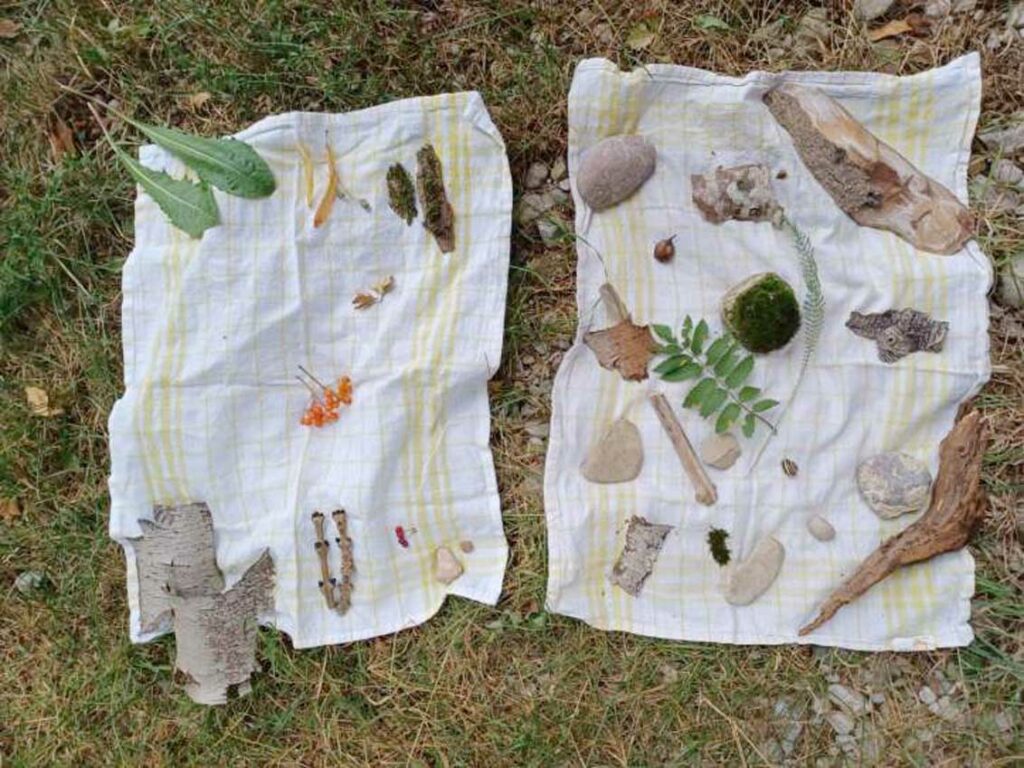 NaturCoach Ausbildung: Ordnung: NaturCoach-Beispiel-Übung