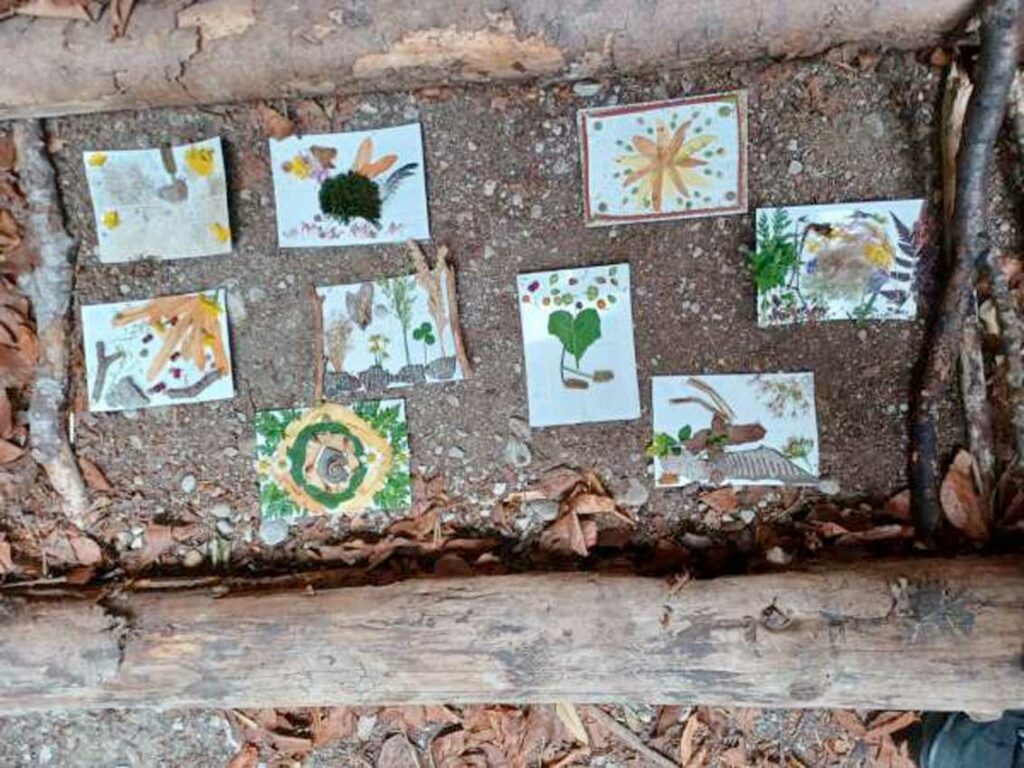 NaturCoach Ausbildung: Postkarten: NaturCoach-Beispiel-Übung