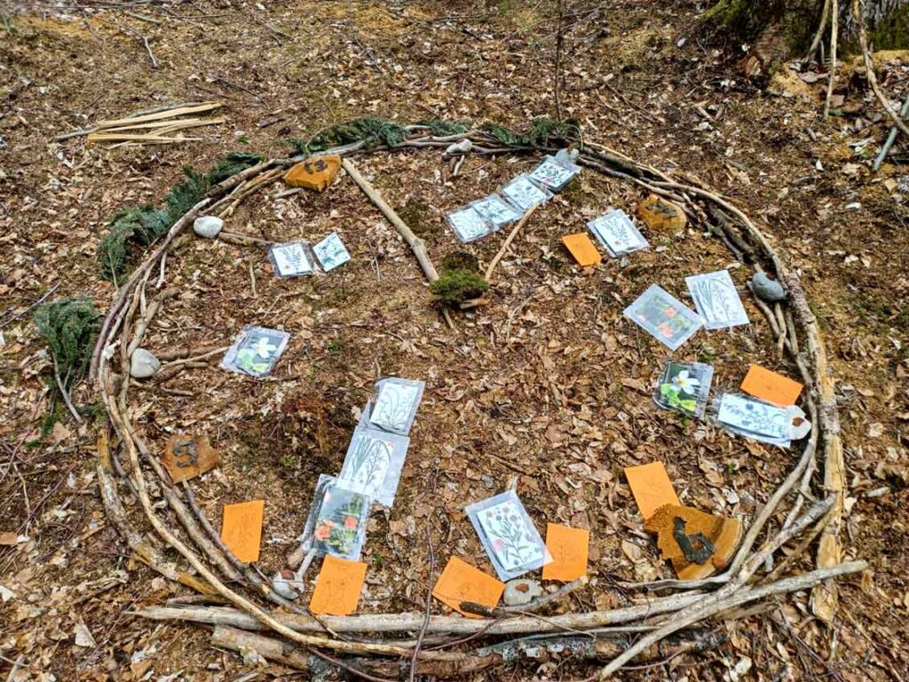 NaturCoach Ausbildung: Vogeluhr: NaturCoach-Beispiel-Übung